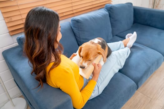 Back of young Asian girl hold beagle dog lie on her lap on the sofa in the house with day light and they look happy to fun and relax together.