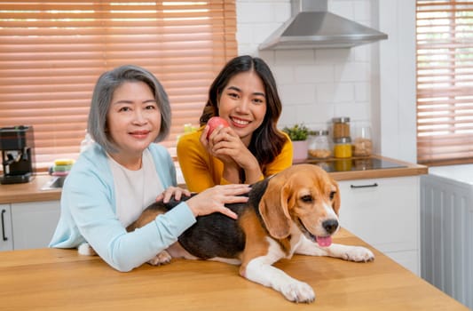 Asian senior and young woman stand together and look at camera with smiling also stay with beagle dog on table in their kitchen.