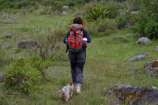 latina girl with her orange backpack on her back walking up the mountain with her dog following behind her. High quality photo