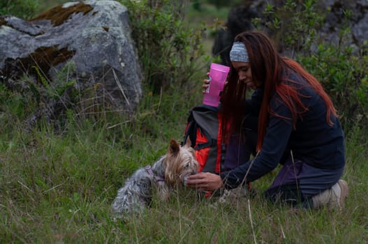 girl hiker giving her little dog a drink so she doesn't get dehydrated in the mountains. High quality photo