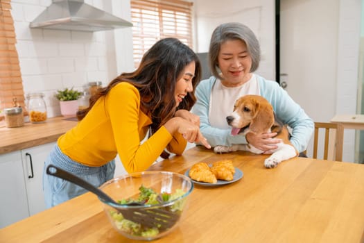 Young Asian woman play fun with beagle dog that try to eat croissant bread on table and the dog hold by senior woman with smiling in kitchen.