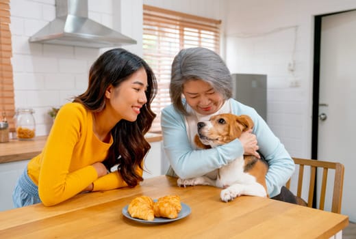 Senior woman as mother hold and hug beagle dog and stand in kitchen area together with happiness in their house.