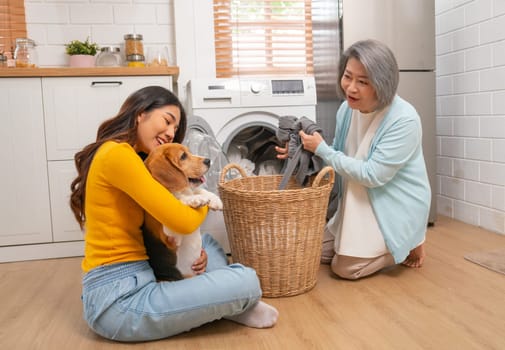 Close up Young Asian girl hold and hug beagle dog and sit near senior woman as mother bring cloths into washing machine in their house.