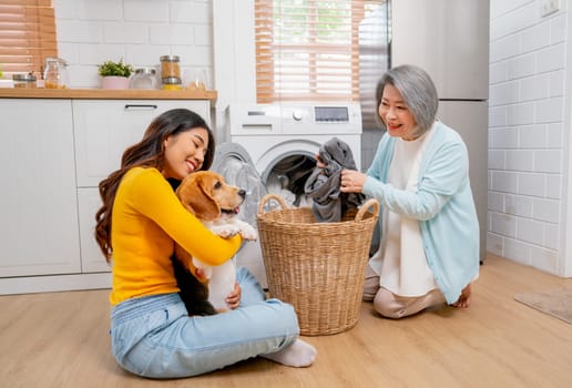 Young Asian girl hold and hug beagle dog and sit near senior woman as mother bring cloths into washing machine in their house.