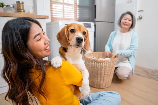 Close up beagle dog look at camera and hold and hug by Asian young girl sit in front senior woman prepare to bring cloths into washing machine in their house.