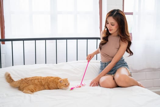 Pretty Asian woman use accessories or toy to play with cat and sit on bed in bedroom, they look happy and fun together.