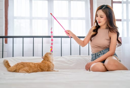 Pretty woman use accessories or toy to play with cat and sit on bed in bedroom, they look happy and fun together.