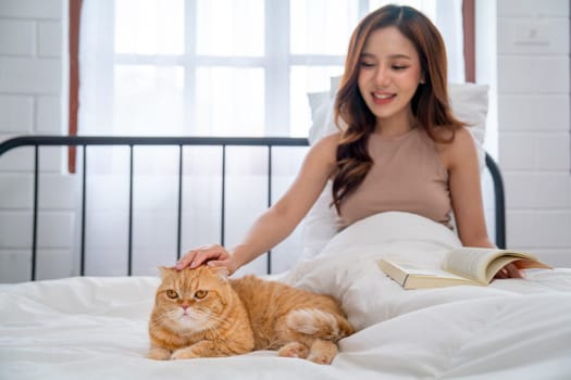 Beautiful Asian woman touch and pat orange cat that lie on bed during she read the book to relax in bedroom with day light and she also look at cat with care and love.