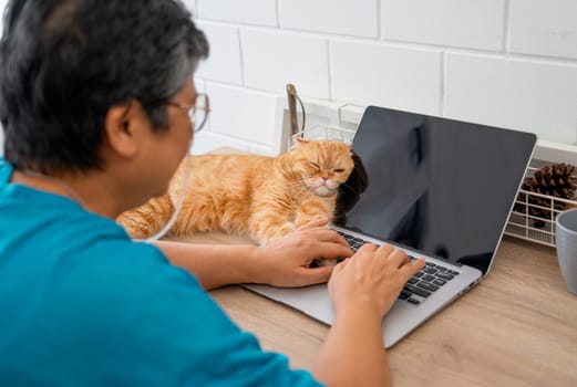 Orange cat lie on monitor of laptop that use to work by Senior woman and it relax and happy to stay with the owner in the house.