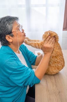 Asian senior woman enjoy to play with cat by the cat use foreleg to touch woman face and they stay together with day light in the house.
