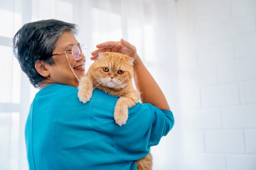 Asian senior woman hold on shoulder and pat orange cat also stand in front of glass window with white curtain and she look happy and care to her pet.
