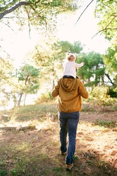 Dad with a little girl on his shoulders walks through the wood. Back view. High quality photo