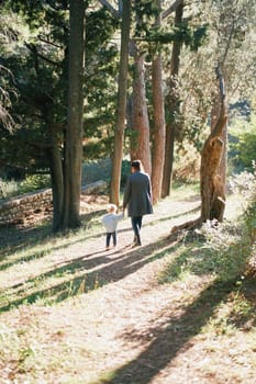 Mom with a little girl walking holding hands along a path in a forest. Back view. High quality photo