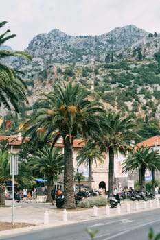 Scooters are parked under palm trees on the embankment of a resort town at the foot of the mountains. High quality photo