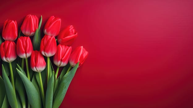 Wonderful spring tulips on red background. Top view image. Copy space.