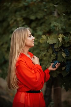 woman vineyards portrait of a happy woman in the summer vineyards at sunset.