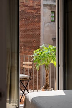 View of the open terrace from the living room with a chair and a palm tree on a sunny warm summer day against a background of a blurred brick wall. Modern design concept in new buildings.