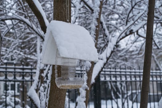 Photo a bird feeder from a plastic bottle on a tree. Winter snow. Conscious consumption.
