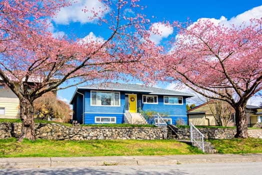 Average single family house with pathway to the entrance over the front yard on the land terrace.