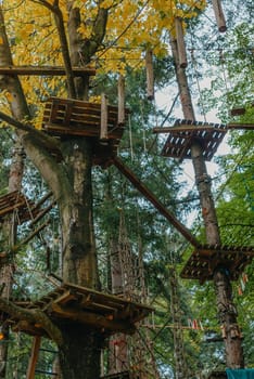 High ropes experience adventure tree park. Rope road course in trees. Climbing adventure rope park. Wood bridge and high wire activity.