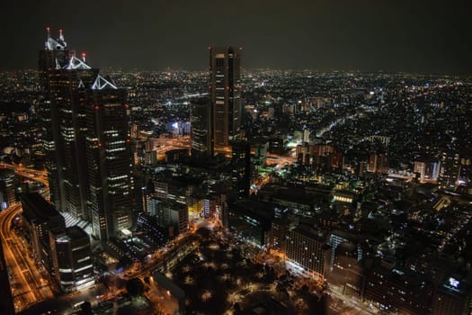 A nighttime view of Tokyo from the government building