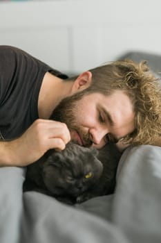 Funny scottish fold cat lying with male owner in bed. Pet