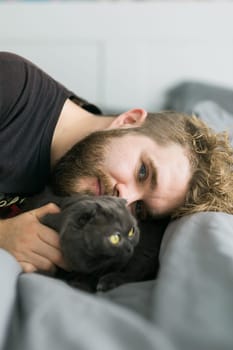 Happy handsome bearded man lying with a grey scottish fold cat. Playing with pet at home. Love and coziness leisure and pet animal protection concept. Scottish fold breed.