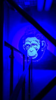 Stockholm, Sweden, December 29 2023. Art exhibition. The mystery of Banksy. A genius mind. Monkey.