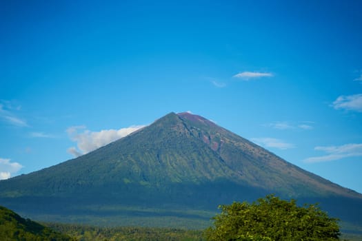 Panorama of Mount Agung and rice fields on the island of Bali. View of the mountain against a background of palm trees and a cornfield. Panorama of Agung volcano covered with clouds on a sunny day