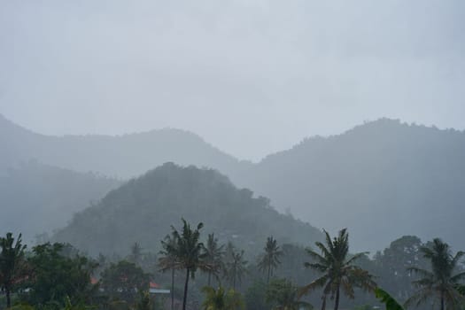 A tropical rainstorm in a rice field with cascading mountains and palm trees