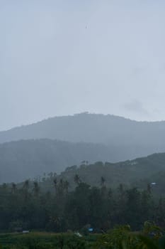 A tropical rainstorm in a rice field with cascading mountains and palm trees