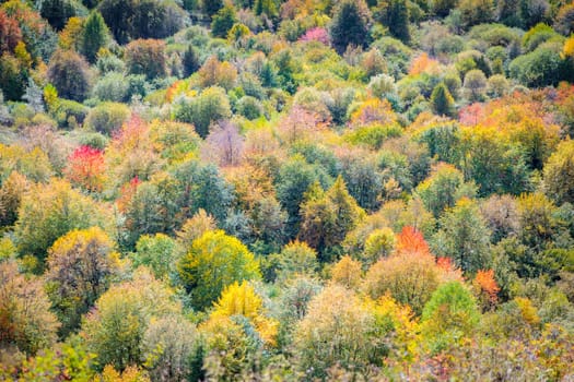 Scenic view of a mountain range during the autumn season. The landscape features a variety of multicolored trees, creating a beautiful and vibrant display of fall foliage.