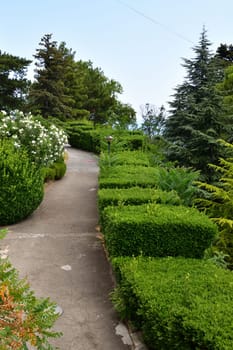 Livadia, Crimea - July 10. 2019. Park on a site of Palace of a Princes Yusupov Palace