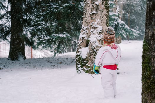 Little girl stands in a snowy forest under snowfall and looks at a tree. Back view. High quality photo