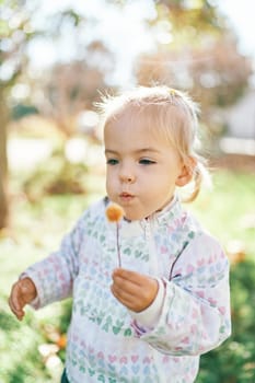 Little girl stands with a round flower in her hand and blows on it in the park. High quality photo