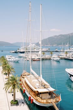 Luxury sailing yacht stands on a pier with green palm trees with a bridge lowered ashore. High quality photo