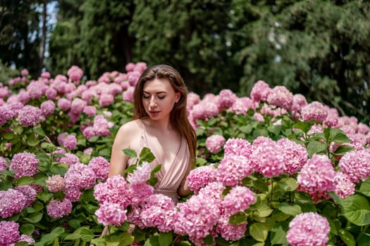 Hydrangeas Happy woman in pink dress amid hydrangeas. Large pink hydrangea caps surround woman. Sunny outdoor setting. Showcasing happy woman amid hydrangea bloom