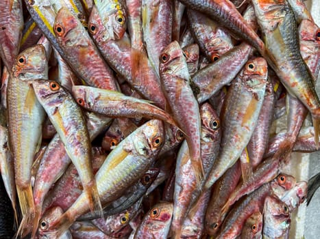 Top view of raw red mullet fish on ice on display at seafood fish market