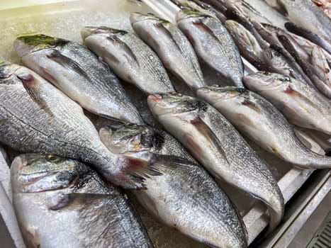 Top view of raw sea bream fish on ice on display at seafood fish market