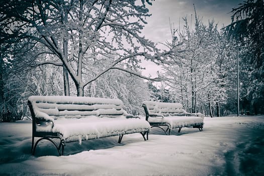 Park benches covered with snow in winter season. Filtered image processed with vintage effect