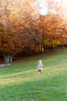 Little girl with a bouquet of autumn leaves walks through a green meadow. High quality photo