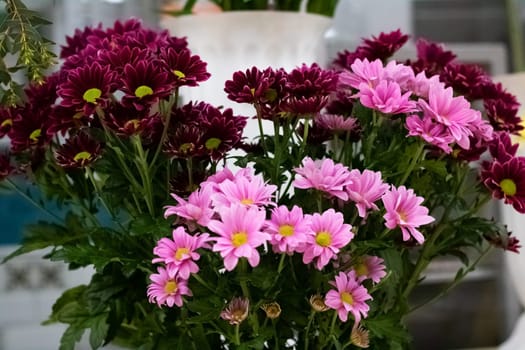 Bouquet of pink and purple flowers close up, beautiful flowers