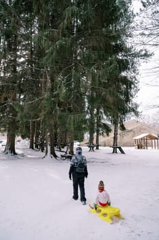 Mom carries a little girl on a yellow sled through the snow in a coniferous forest. Back view. High quality photo