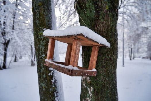 Wooden bird feeder hanging on a tree in winter forest