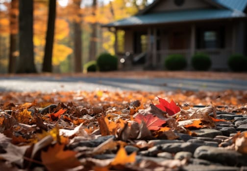 Autumn Colors: Vibrant Foliage in a Park, a Golden Maple Tree Shines Against a Bright Blue Sky, Embracing the Beauty of Nature