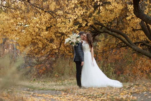 beautiful sensual bride in white wedding dress and groom standing in countryside. copy space