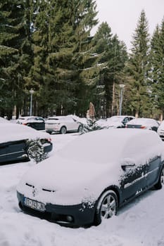 Snow-covered cars parked near a coniferous forest. High quality photo