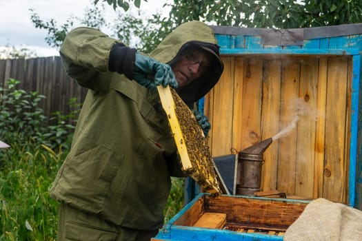 beekeeper holds in his hands a honey frame with honeycomb