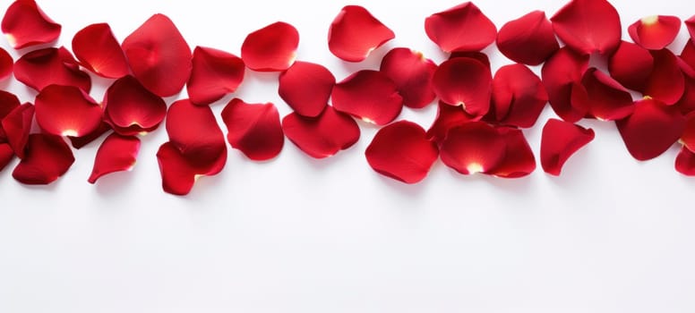 Romantic red rose petals on white background. Flat lay, top view, copy space.