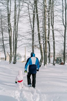 Dad and a little girl are walking, holding hands, through the snowdrifts in the forest towards the village. Back view. High quality photo